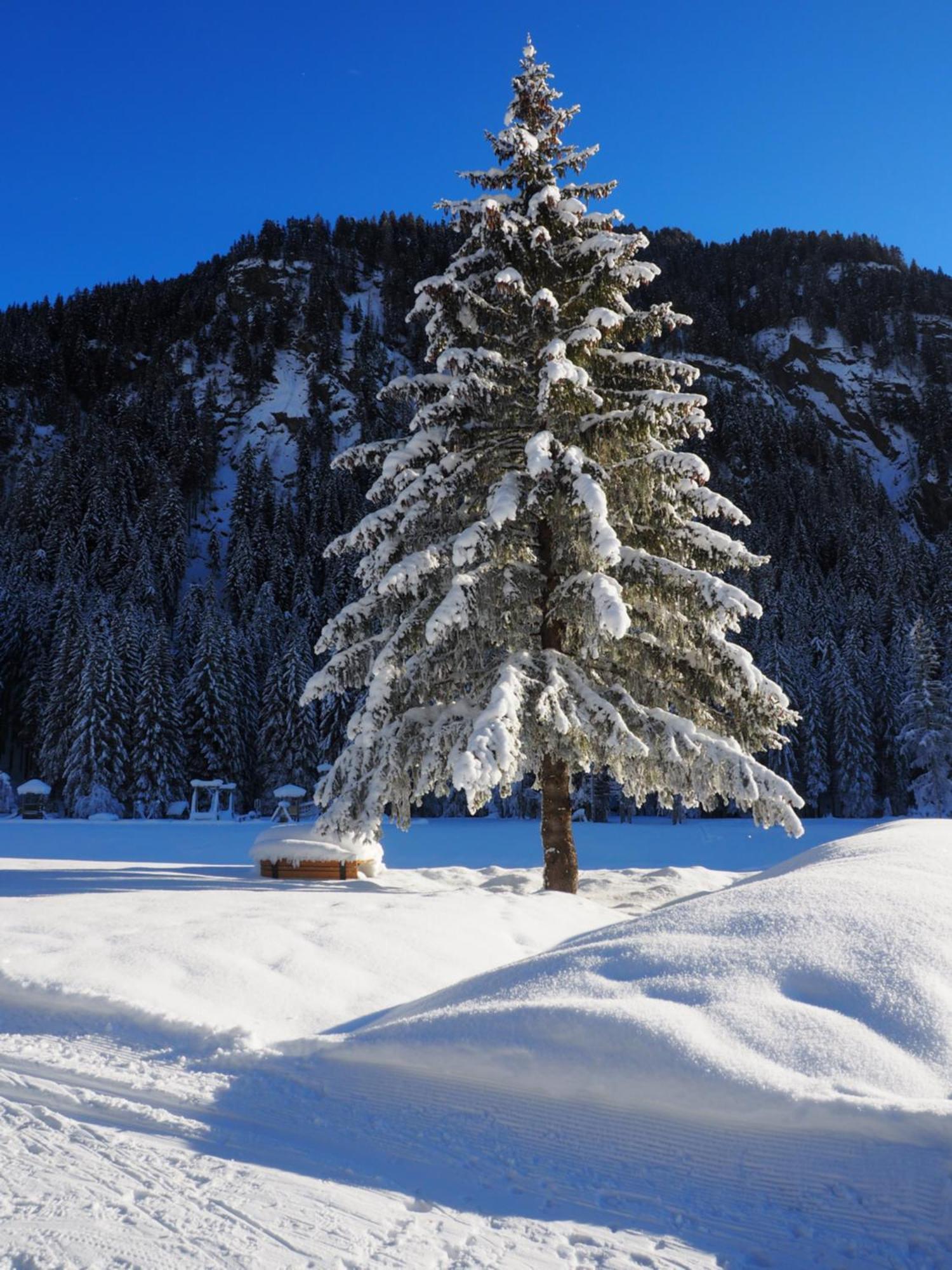 Appartamenti Residence Rodolon Campestrin Екстер'єр фото