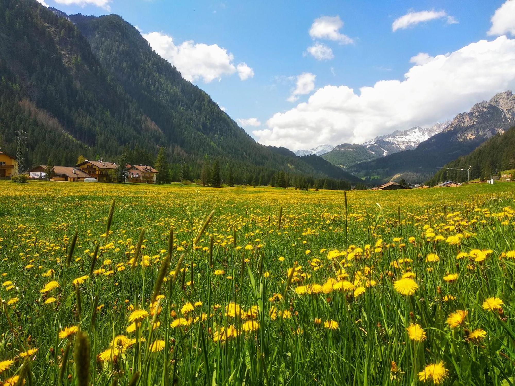 Appartamenti Residence Rodolon Campestrin Екстер'єр фото